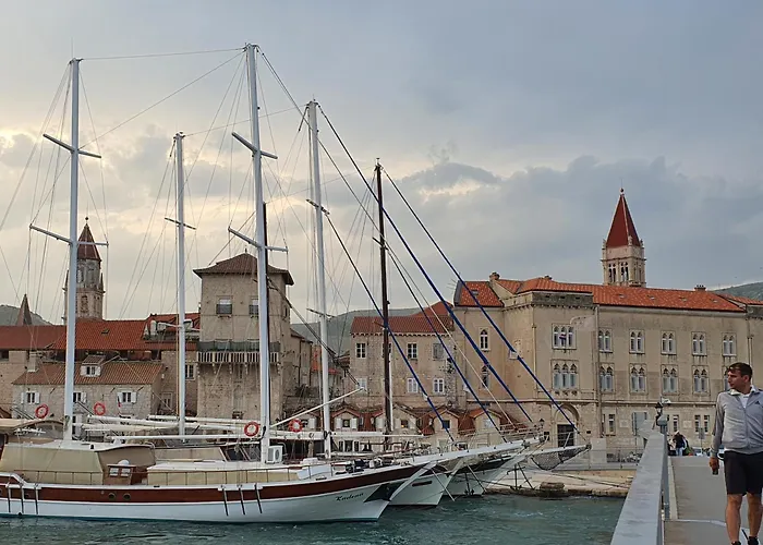 Violeta Hvar