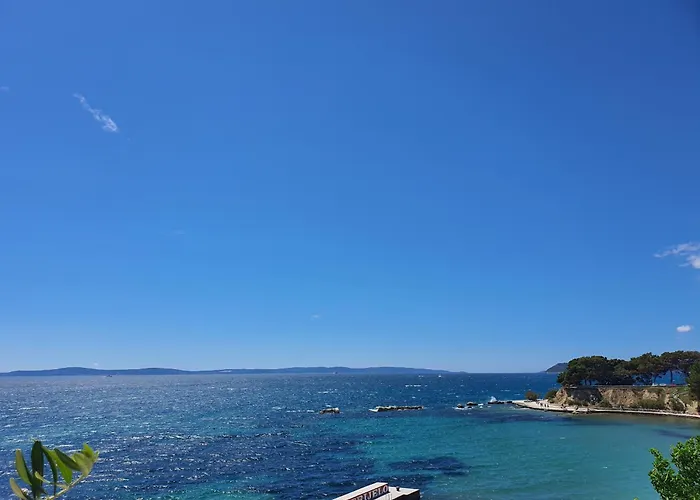Violeta Hvar