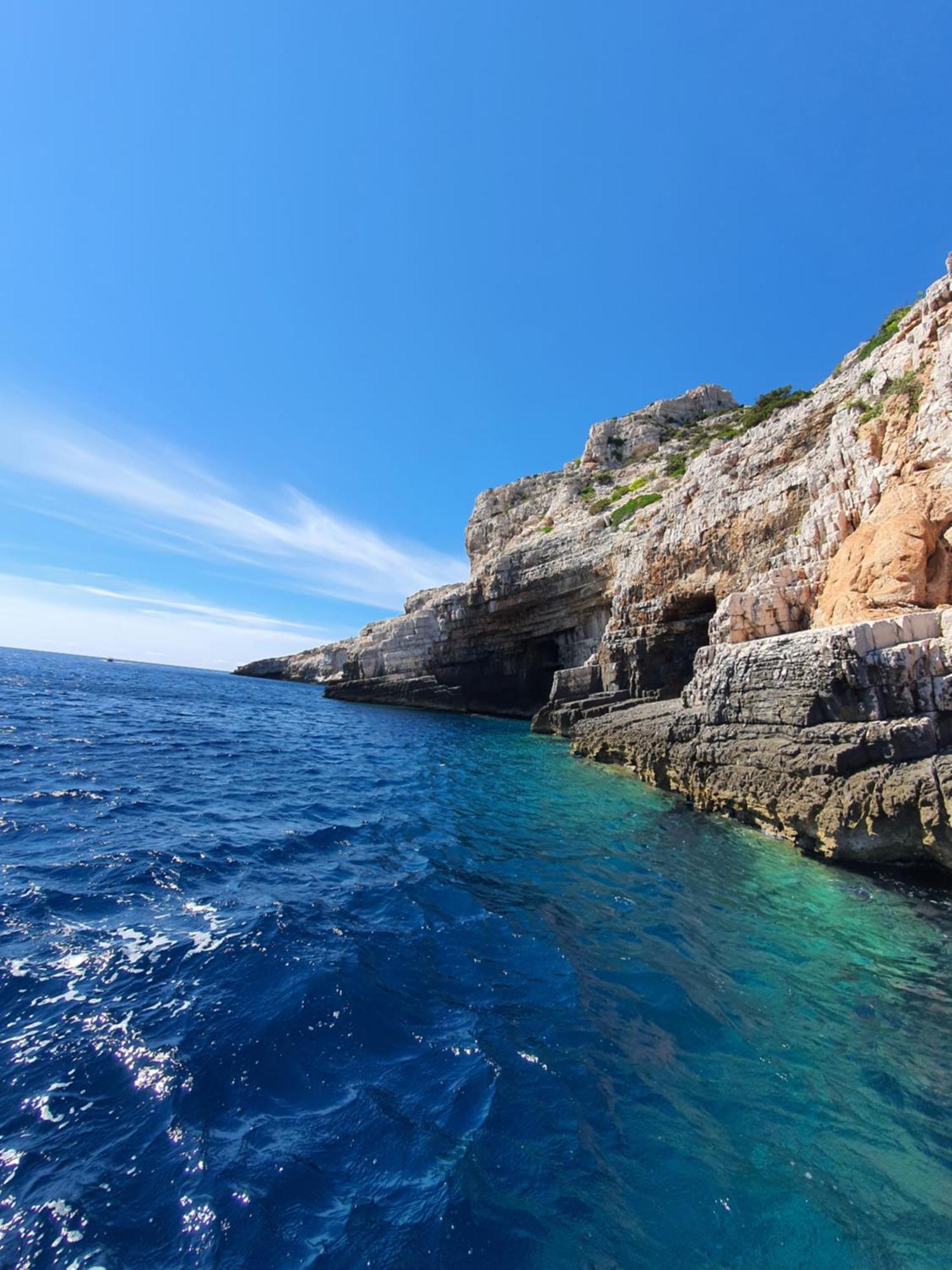 Violeta Hvar