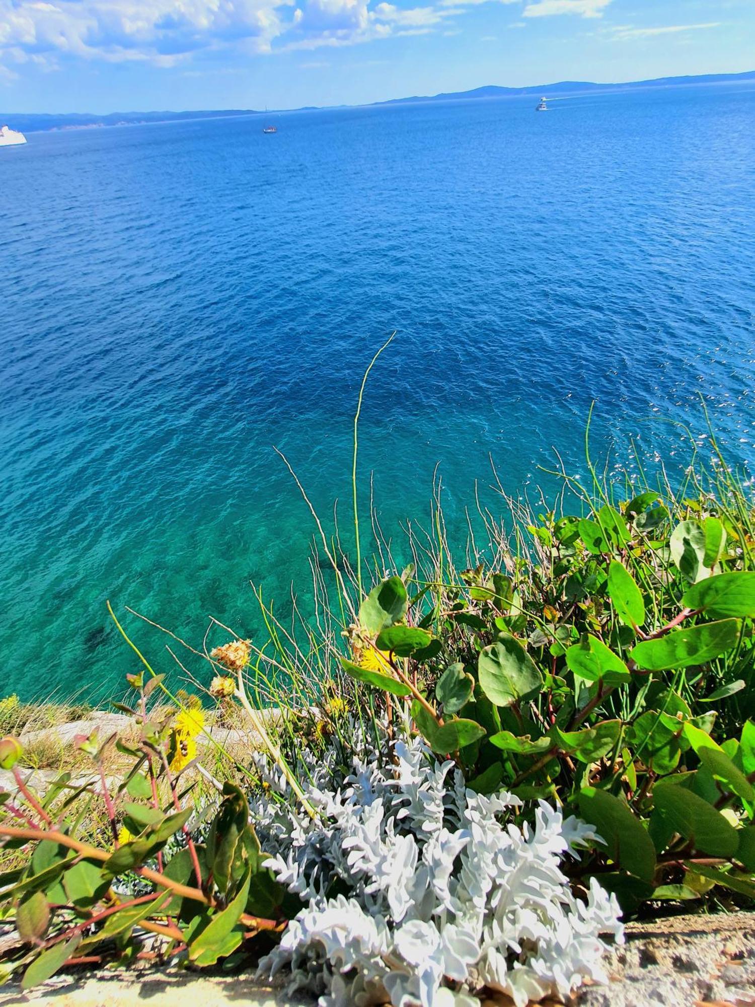 Apartamento Violeta Hvar