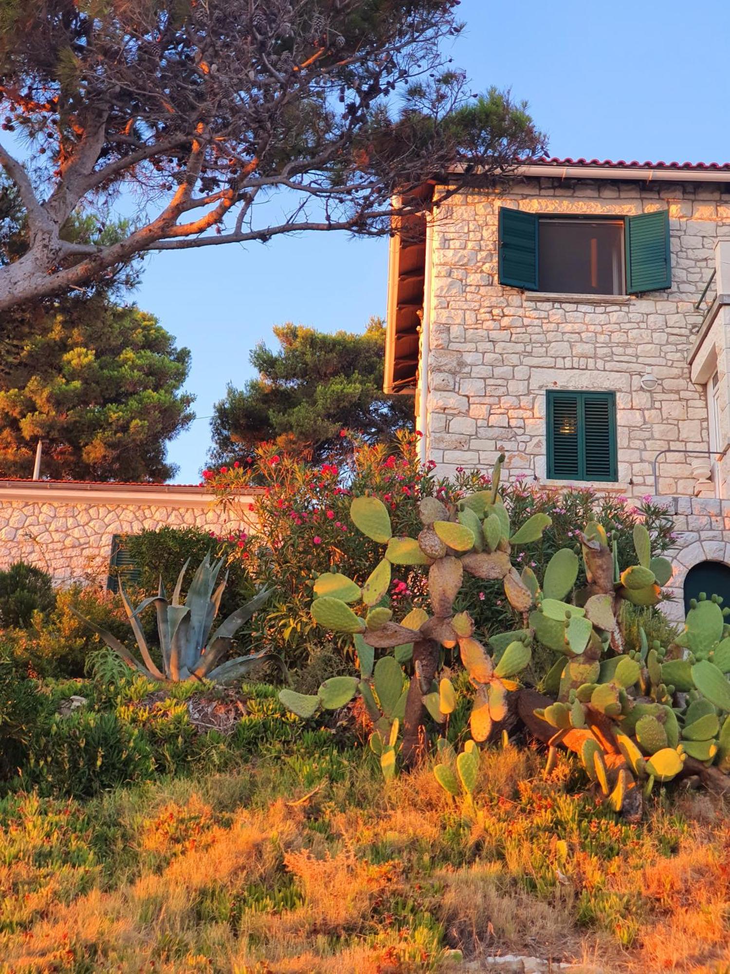 Apartamento Violeta Hvar Hvar Town