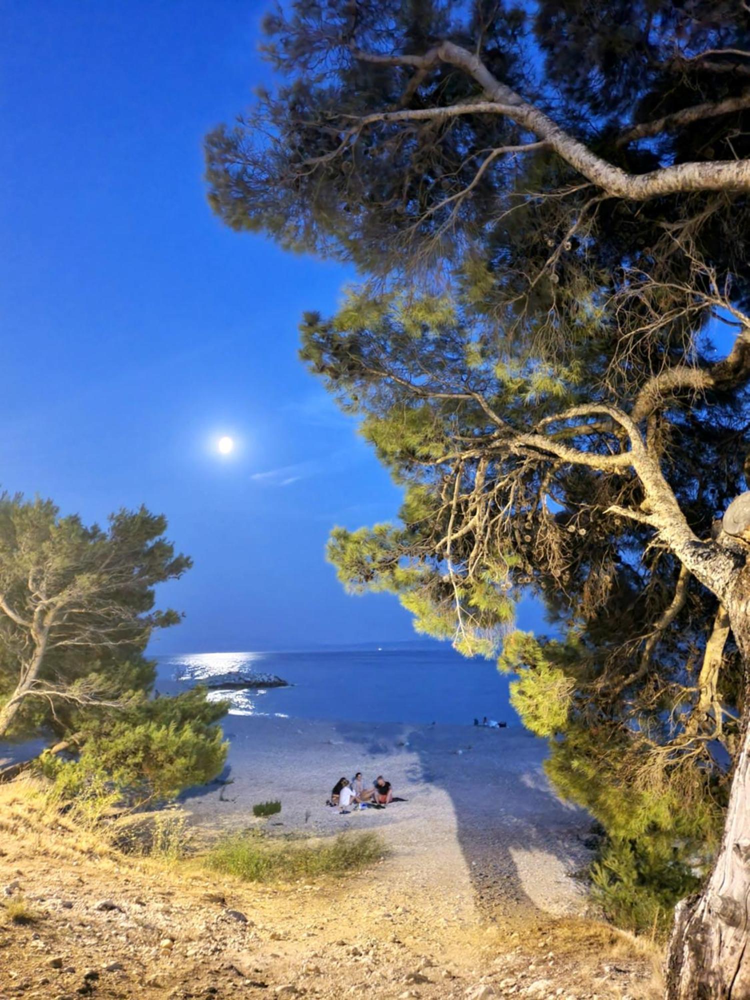 Violeta Hvar * Hvar Town